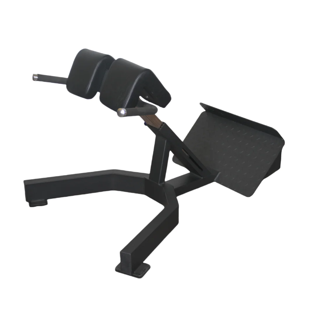 Home Gym Price - Alat Latihan Punggung Roman Chair Harga