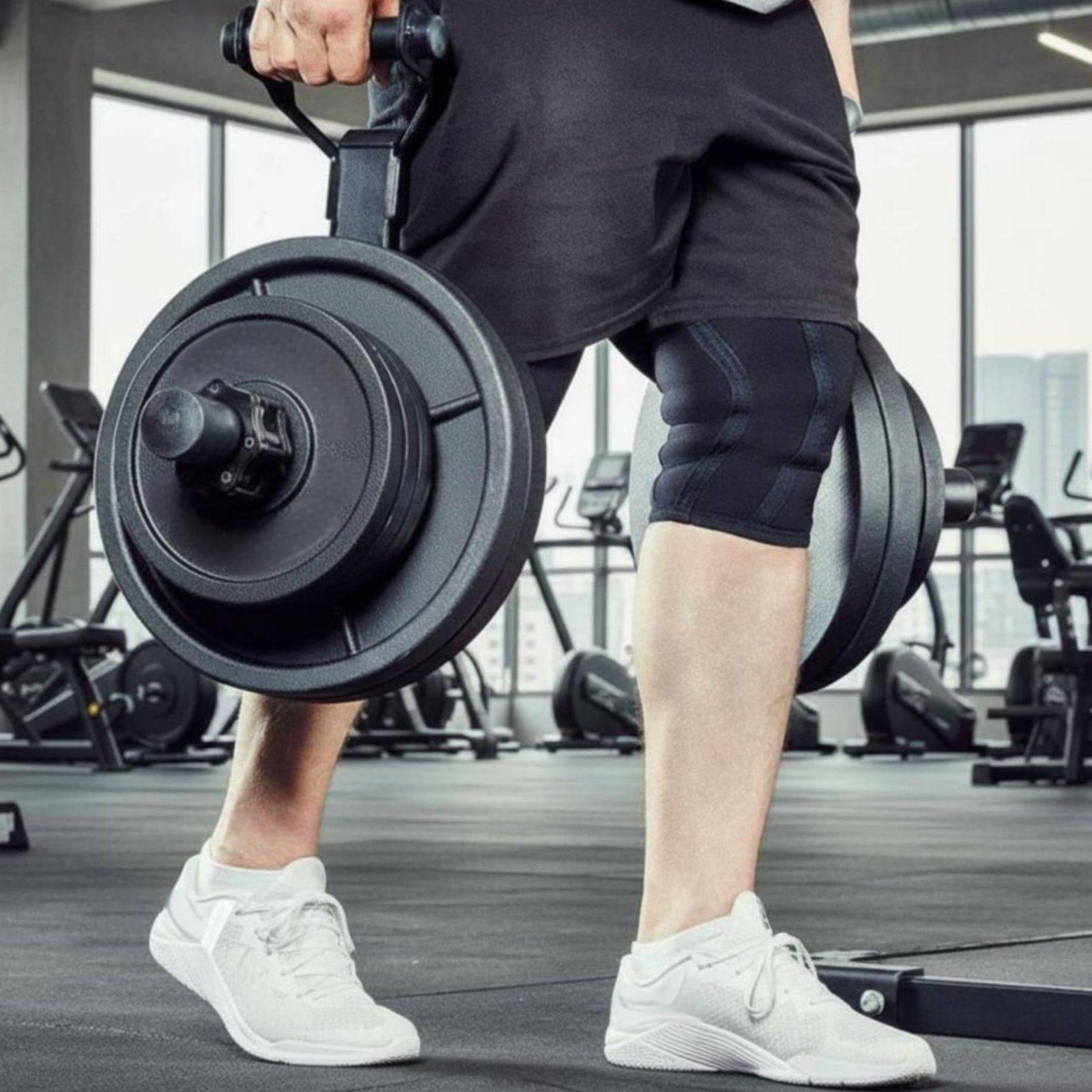 Rak Penyimpanan Pelat Barbel M - Home Gym Equipment ulasan dan harga