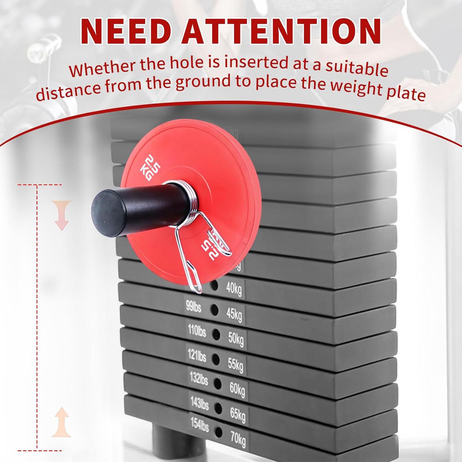 Pin Gym dengan Klip Pegas, Pen - Home Gym System ulasan dan harga