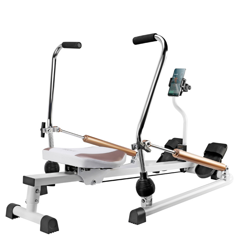 Mesin Dayung Magnetik Senyap d - Home Gym In Apartment ulasan dan harga