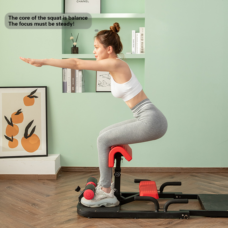 Mesin Sissy Squat 3-in-1 Alat  - Home Gym Quad ulasan dan harga